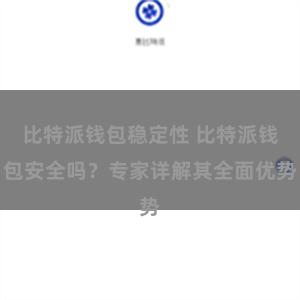 比特派钱包稳定性 比特派钱包安全吗？专家详解其全面优势