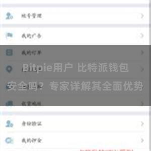 Bitpie用户 比特派钱包安全吗？专家详解其全面优势