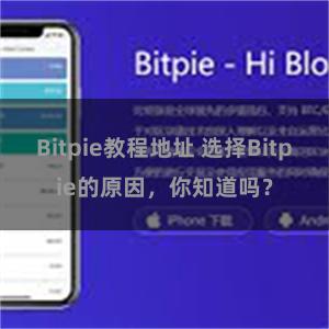 Bitpie教程地址 选择Bitpie的原因，你知道吗？