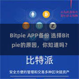 Bitpie APP备份 选择Bitpie的原因，你知道吗？