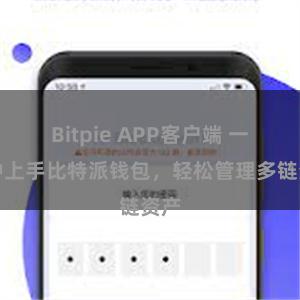 Bitpie APP客户端 一分钟上手比特派钱包，轻松管理多链资产