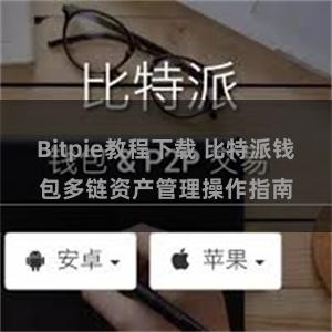 Bitpie教程下载 比特派钱包多链资产管理操作指南