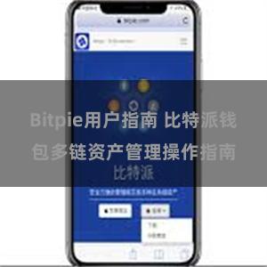 Bitpie用户指南 比特派钱包多链资产管理操作指南