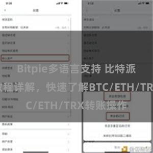 Bitpie多语言支持 比特派钱包转账教程详解，快速了解BTC/ETH/TRX转账操作