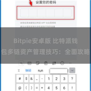 Bitpie安卓版 比特派钱包多链资产管理技巧：全面攻略