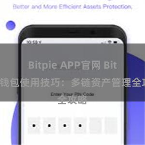 Bitpie APP官网 Bitpie钱包使用技巧：多链资产管理全攻略