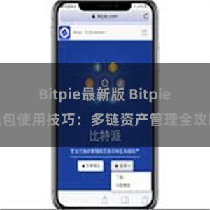 Bitpie最新版 Bitpie钱包使用技巧：多链资产管理全攻略