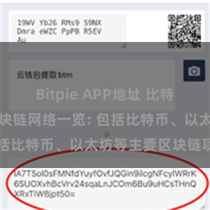 Bitpie APP地址 比特派钱包支持的区块链网络一览: 包括比特币、以太坊等主要区块链项目