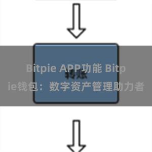 Bitpie APP功能 Bitpie钱包：数字资产管理助力者