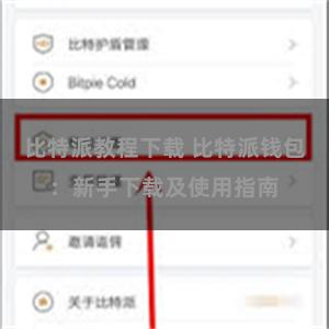 比特派教程下载 比特派钱包：新手下载及使用指南