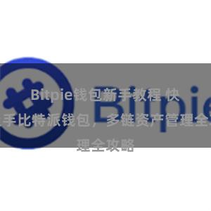 Bitpie钱包新手教程 快速上手比特派钱包，多链资产管理全攻略