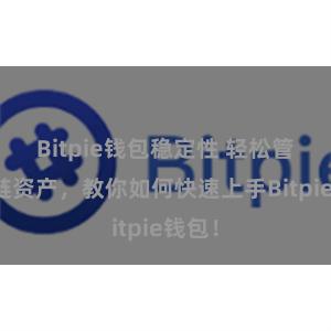 Bitpie钱包稳定性 轻松管理多链资产，教你如何快速上手Bitpie钱包！