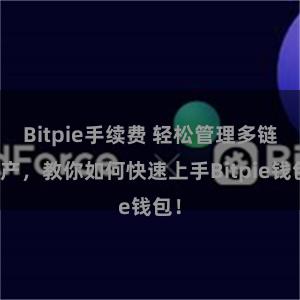 Bitpie手续费 轻松管理多链资产，教你如何快速上手Bitpie钱包！