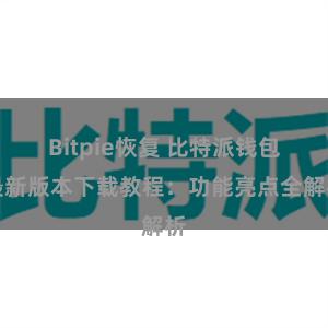 Bitpie恢复 比特派钱包最新版本下载教程：功能亮点全解析