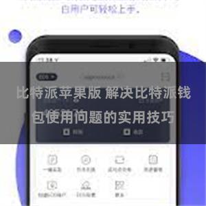 比特派苹果版 解决比特派钱包使用问题的实用技巧