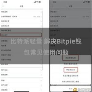 比特派轻量 解决Bitpie钱包常见使用问题