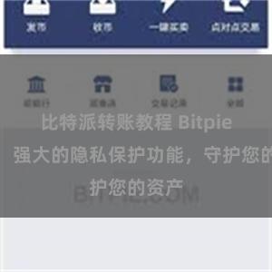 比特派转账教程 Bitpie钱包：强大的隐私保护功能，守护您的资产