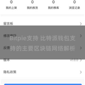 Bitpie支持 比特派钱包支持的主要区块链网络解析