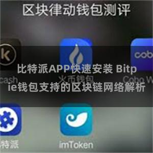 比特派APP快速安装 Bitpie钱包支持的区块链网络解析