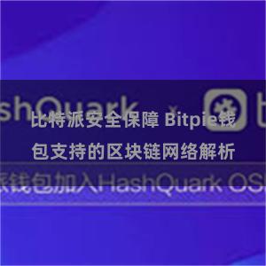 比特派安全保障 Bitpie钱包支持的区块链网络解析