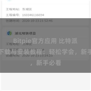 Bitpie官方应用 比特派钱包下载与安装教程：轻松学会，新手必看