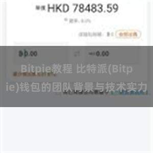 Bitpie教程 比特派(Bitpie)钱包的团队背景与技术实力