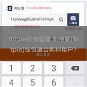 Bitpie在线管理 比特派(Bitpie)钱包适合何种用户？