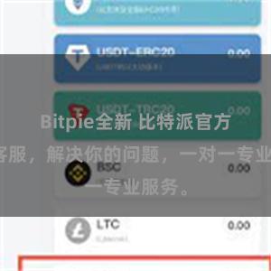 Bitpie全新 比特派官方在线客服，解决你的问题，一对一专业服务。